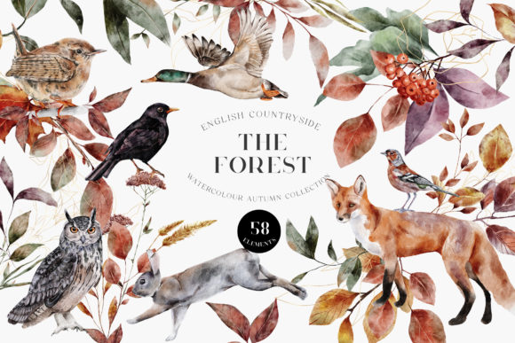 Autumn Forest Animals Watercolor PNG and Illustrations