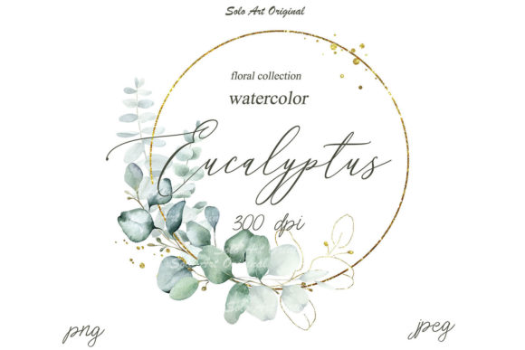 Eucalyptus Clipart Frame Watercolor Illustrations
