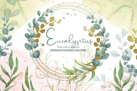 Eucalyptus Watercolor Collection Illustrations