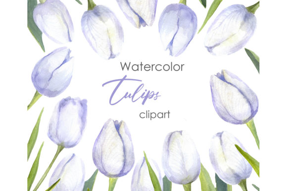 Floral Clipart. Watercolor Tulip Art and Illustrations