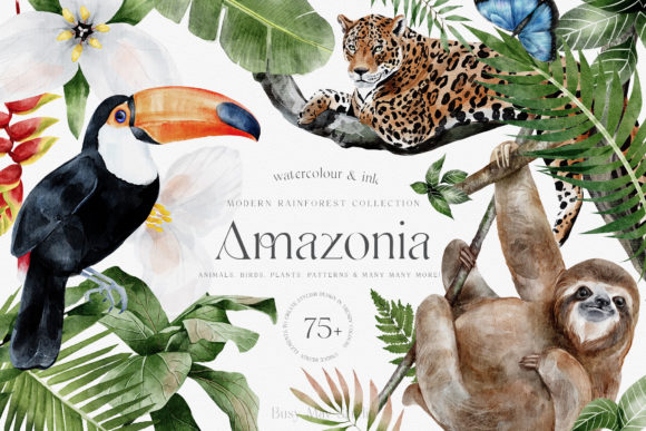Modern Watercolor Rainforest Collection Illustrations
