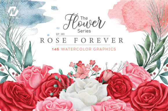 Rose Flower Watercolor Arts Collection and Illustrations
