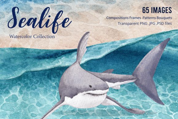 Sealife Ocean Watercolor Illustrations