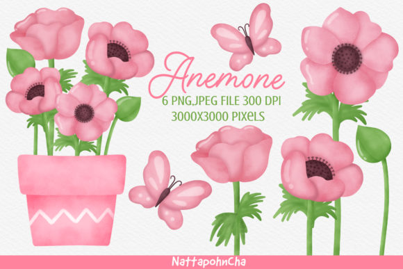 Watercolor Anemone Flower Clipart Bundle and Illustrations