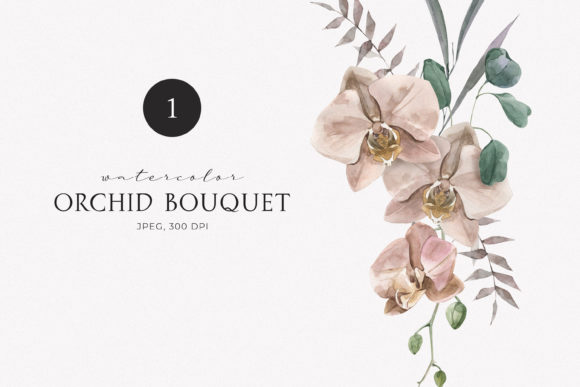 Watercolor Bohemian Orchid Bouquet Illustrations