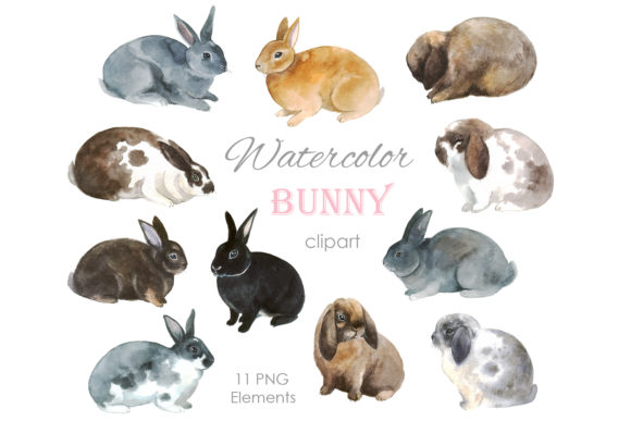 Watercolor Bunny Clipart. Easter Bunny Illustrations