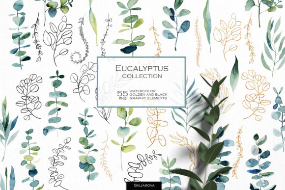 Watercolor Eucalyptus Branches Illustrations