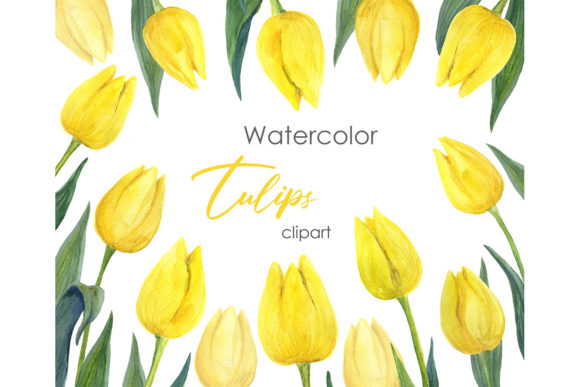 Watercolor Floral Clipart. Tulip Clipart