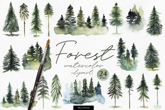 Watercolor Forest Clipart and Illustrations