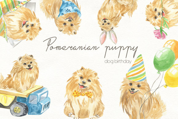 Watercolor Illustration of a Pomeranian