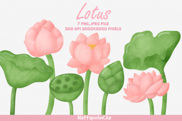 Watercolor Lotus Clipart Bundle and Illustrations