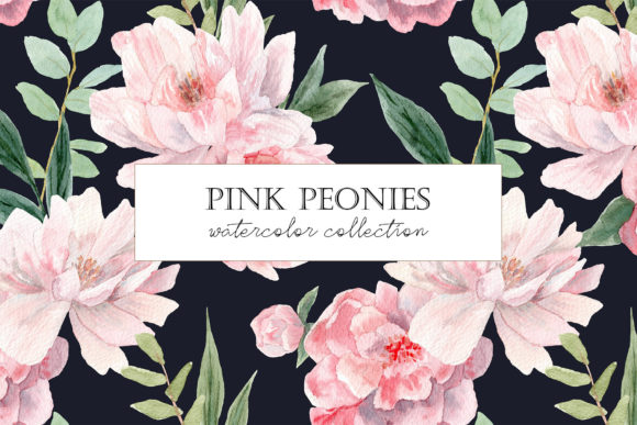 Watercolor Peony. Pink Peonies Clipart