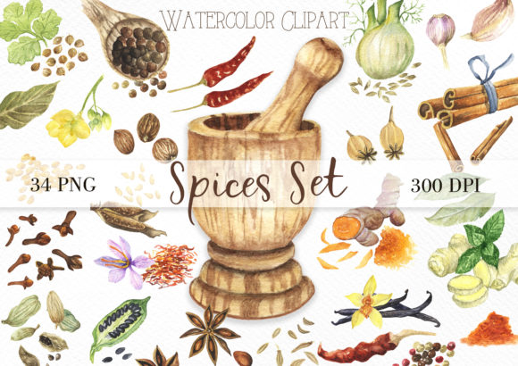 Watercolor Spices Set Clipart and Illustrations