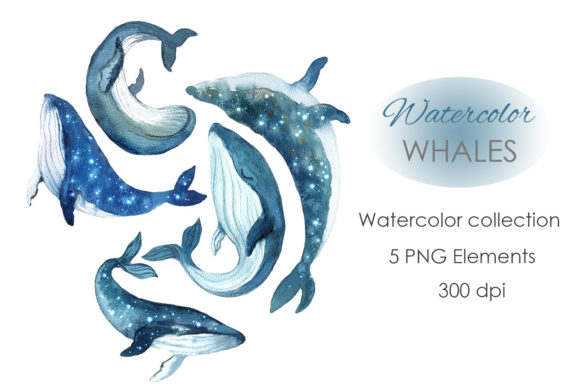 Whale Art, Watercolor Whale Clipart and Illustrations